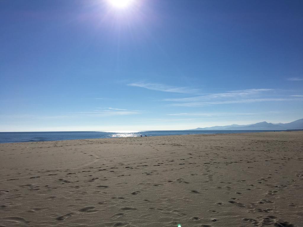 Appartement Climatise Vue Mer 208 카네트 외부 사진